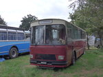 (174'084) - Aus der Schweiz: Liebi, Montlingen - SG 88'433 - Saurer/Tscher (ex Wespe, Altsttten; ex P 24'804) am 20.