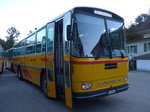 (175'420) - Thommen, Sutz - BE 288'066 - Saurer/Hess (ex P 24'202) am 2.