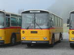 (239'784) - Schmid, Thrishaus - BE 26'206 - Saurer/Tscher (ex P 24'244) am 28.