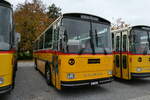 (281'412) - Gaudenz, Andeer - GR 1866 - Saurer/R&J (ex Mark, Andeer PID 2824; ex PostAuto Graubnden; ex P 24'350) am 12.