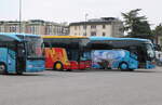 Diverse - Mercedes + Van Hool + Setra am 19.