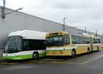 (267'609) - transN, La Chaux-de-Fonds - Nr. 117 - NAW/Hess Gelenktrolleybus (ex TN Neuchtel Nr. 117) am 1. Oktober 2024 in Marin, Dpt