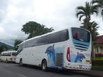 (211'815) - CieloAzul, San Jos - Nr. 62/15'080 - Scania/Irizar am 20. November 2019 in La Fortuna