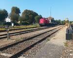 Die WFL 203 217-5 brachte am 24.08.2024 Rens-Wagen mit Oberbaumaterial aus Merseburg nach Querfurt, welches von der DB InfraGO verbaut wurde. (Foto: Saale-Unstrut-Bahn)