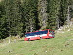 (255'774) - AFA Adelboden - Nr.