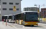 (278'904) - Hfliger, Sursee - Nr.