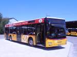 (277'782) - PostAuto Nordschweiz - BL 161'625/PID 10'555 - MAN am 11.