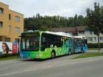 (135'402) - STI Thun (Testbus) - BS 59'327 - Mercedes am 6.