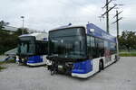 (280'840) - TL Lausanne - Nr. 889 - Hess/Hess Gelenktrolleybus am 28. September 2025 in Kerzers, Murtenstrasse