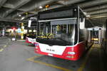 (281'304) - PostAuto Bern - BE 489'253/PID 12'334 - MAN (ex BE 535'079; ex Dr.
