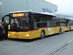 (244'509) - Steiner, Messen - SO 21'820/PID 5014 - MAN am 7.