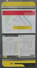 (238'546) - STI-Fahrgastinformation am 29.