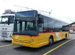 (364'241) - PostAuto Bern - Nr. 216/BE 843'216/PID 10'673 - Heuliez am 30. Juni 2024 in Kerzers, Interbus