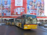 (178'596) - Aus Liechtenstein: Marxer, Mauren - FL 39'866 - Mercedes (ex Eurobus, Arbon Nr.