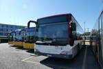 (286'376) - CarPOstal Ouest - Nr. 65/VD 191'304/PID 5315 - Mercedes (ex PostAuto Wallis Nr. 65; ex Lathion, Sion Nr. 65) am 25. April 2026 in Yverdon, Garage