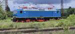 Im neuen Farbkleid zeigte sich die WFL 243 019-7 am 23.05.2025 in Naumburg (S) Hbf auf der Fahrt von Nossen zum Thüringer Eisenbahnverien nach Weimar. (Foto: Jochen Steinmetz)