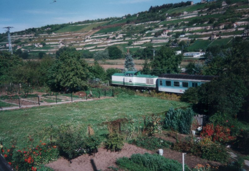 V 100 003 vom Frderverein Berlin-Anhaltinische Eisenbahn e.V. mit einem Winzerfestsonderzug Richtung Laucha, im Unstruttal bei Freyburg; September 2000 (Foto: Mario Fliege)