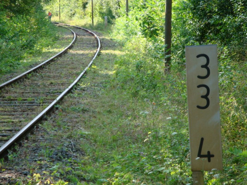 Zustand der Strecke zwischen Wangen und Roleben (Steinklbe) nach dem Arbeitseinsatz unserer Mitglieder; 04.08.2009 (Foto: Gnther Gbel)