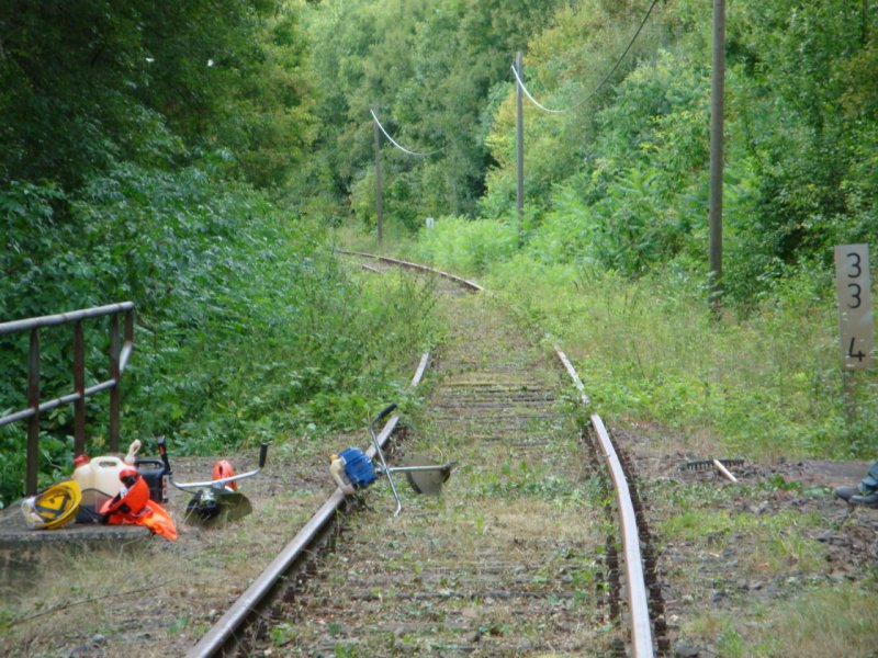 Zustand der Strecke zwischen Wangen und Roßleben (Steinklöbe) vor dem Arbeitseinsatz unserer Mitglieder; 04.08.2009 (Foto: Günther Göbel)