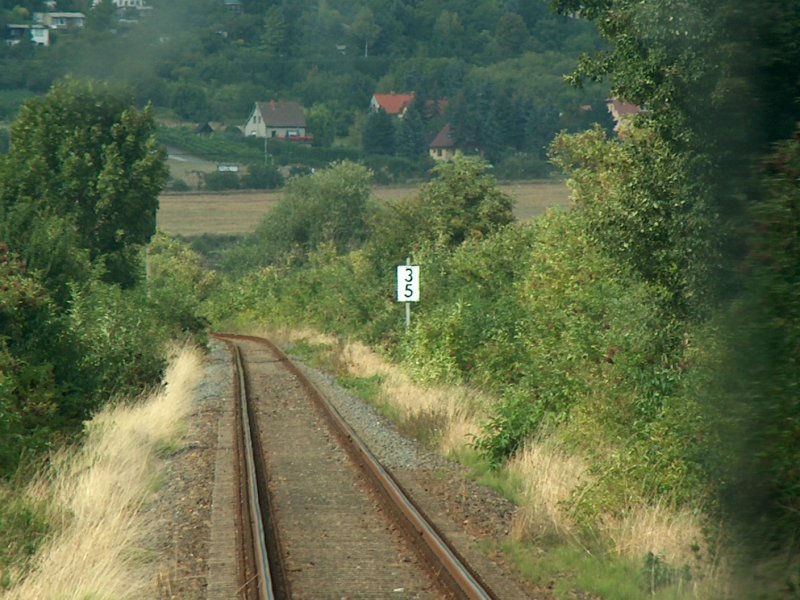 Zwischen Kleinjena und Freyburg; 14.08.2008